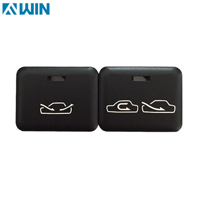 Plastic Cover Cap For Auto Control Panel