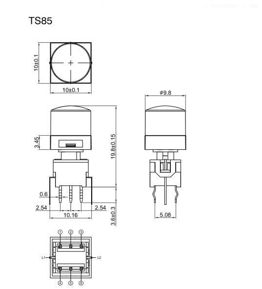 TS85-0022WR.jpg