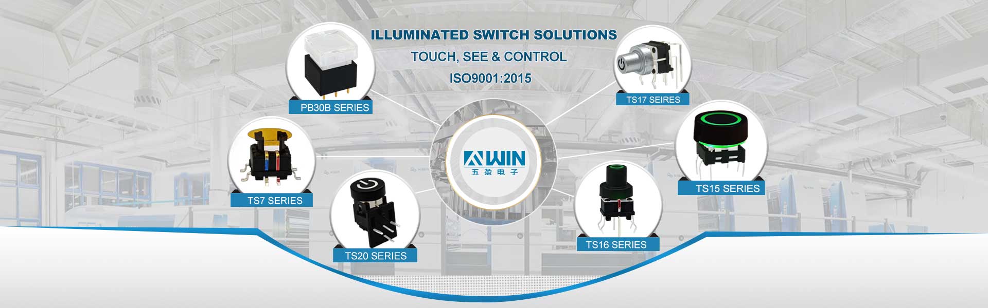 illuminated switches