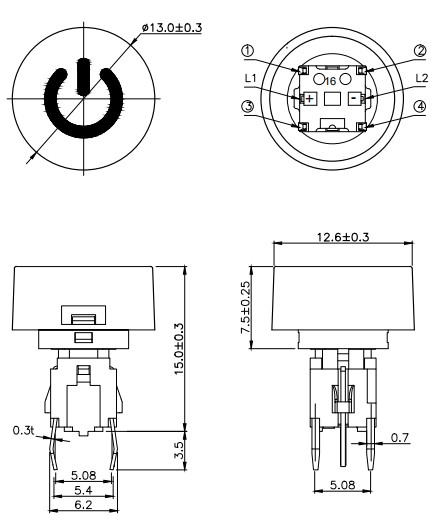 Mini illuminated Switch With LED